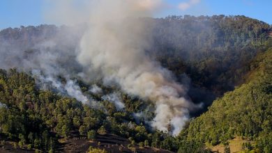 Wildfires in the Amazon Forest