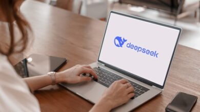 DeepSeek