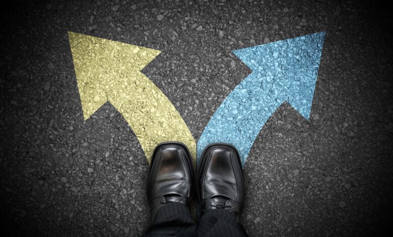 AI Regulatory Crossroads