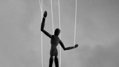 AI Model Safety
