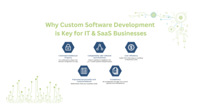 Custom Software Development