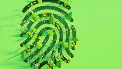 AI Innovation and Sustainability