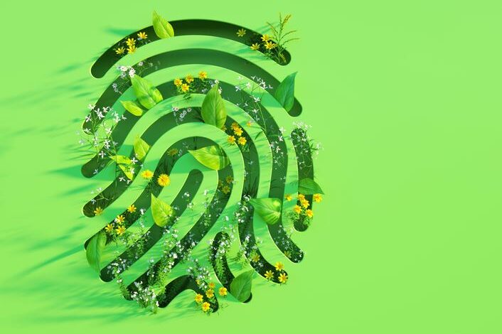 AI Innovation and Sustainability