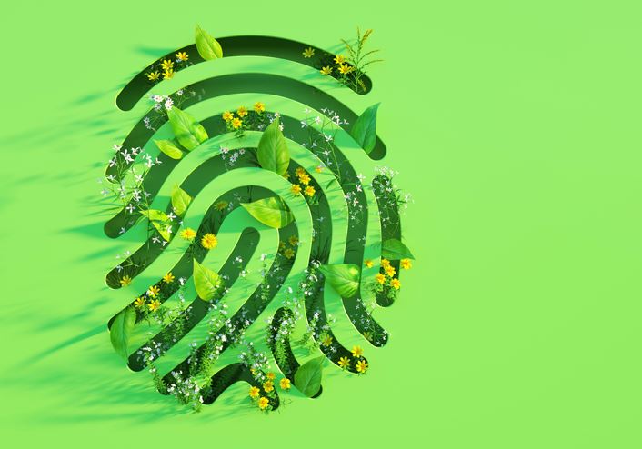 AI Innovation and Sustainability