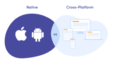iPhone App Development