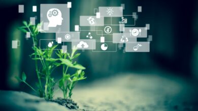 Navigating Compliance Challenges and the Rise of Observability
