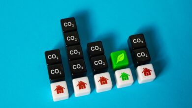 AI and the Scope 3 Emissions Challenge: Closing the Carbon Accountability Gap