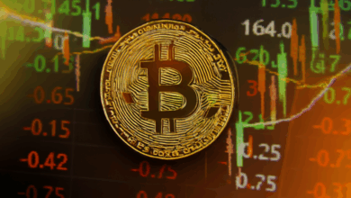 How a Crypto Broker Program Can Improve a Crypto Brokers Performance
