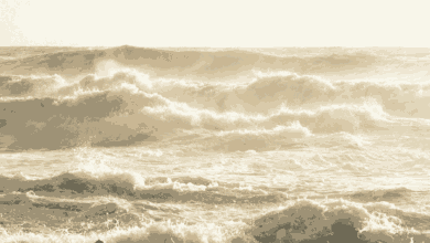 Why AI workloads may find a home by the sea