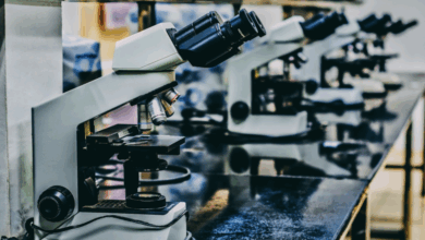 The Future of Innovation Lies in Scientific IP