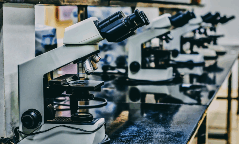 The Future of Innovation Lies in Scientific IP