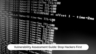 Business Vulnerability Assessment