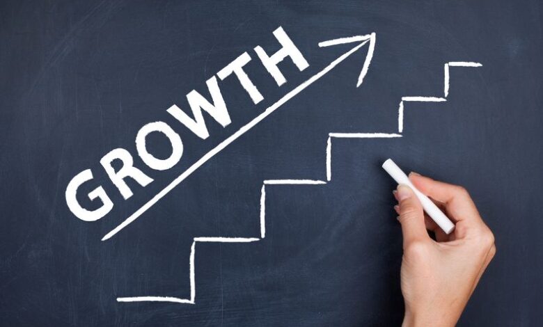 business growth