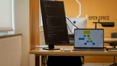 Open-Source GIS Software