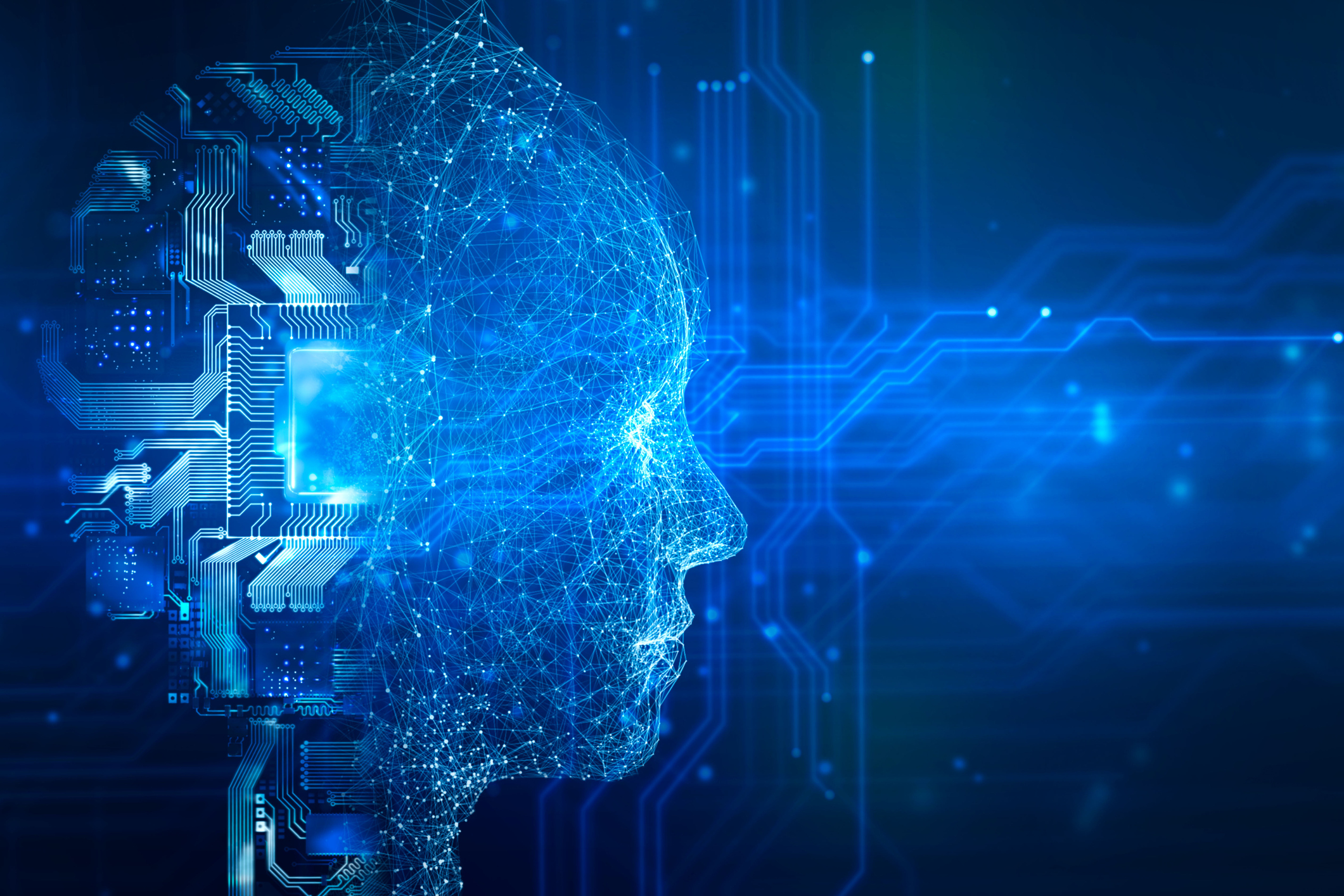 The Future of Digital Creativity