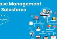 “Case management in Salesforce showing CRM integration and customer support workflow diagram.”