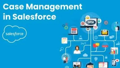 “Case management in Salesforce showing CRM integration and customer support workflow diagram.”