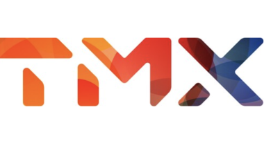 Supply Chain Consultant TMX