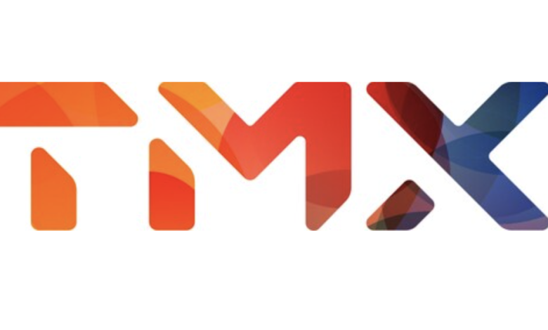 Supply Chain Consultant TMX