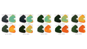 AI for Water Health: Predicting Toxic Algae Outbreaks Before They Spread