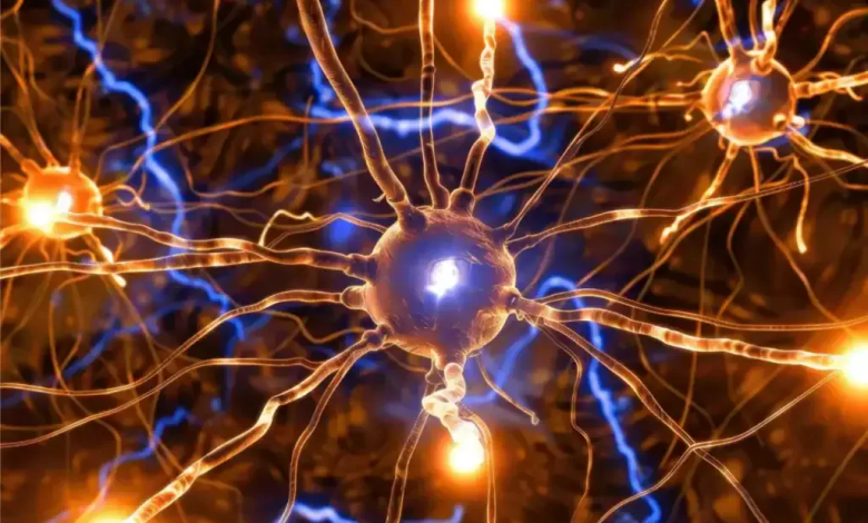 Early Neuro-Physiotherapy: Why Timing Matters in Neurological Recovery