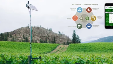 Soil Moisture Sensor