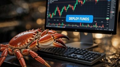 Clawbot deploying funds