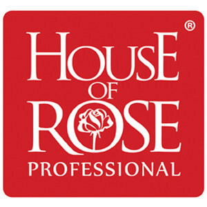 HOUSE OF ROSE PROFESSIONAL ANNOUNCES 2026 BREAK THE CEILING TOUCH THE SKY® 101 BEST GLOBAL COMPANIES FOR WOMEN IN LEADERSHIP INDEX (BTC 101 GLOBAL INDEX)