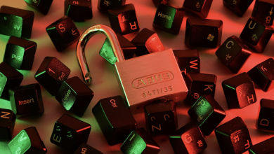 Fraud Detection AI