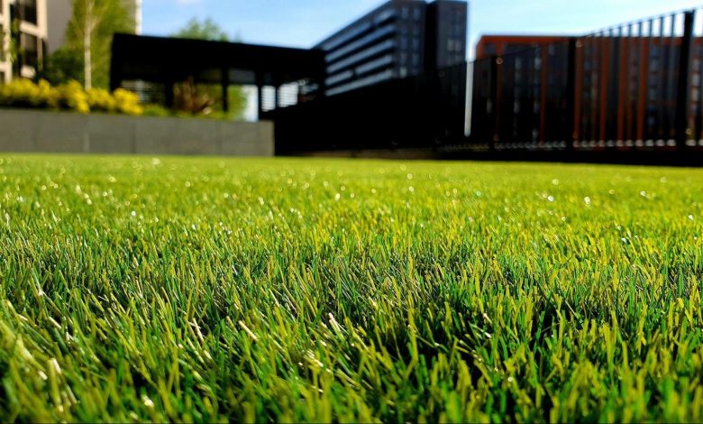 Can Machine Learning Predict How Much Fertilizer a Lawn Actually Needs ...