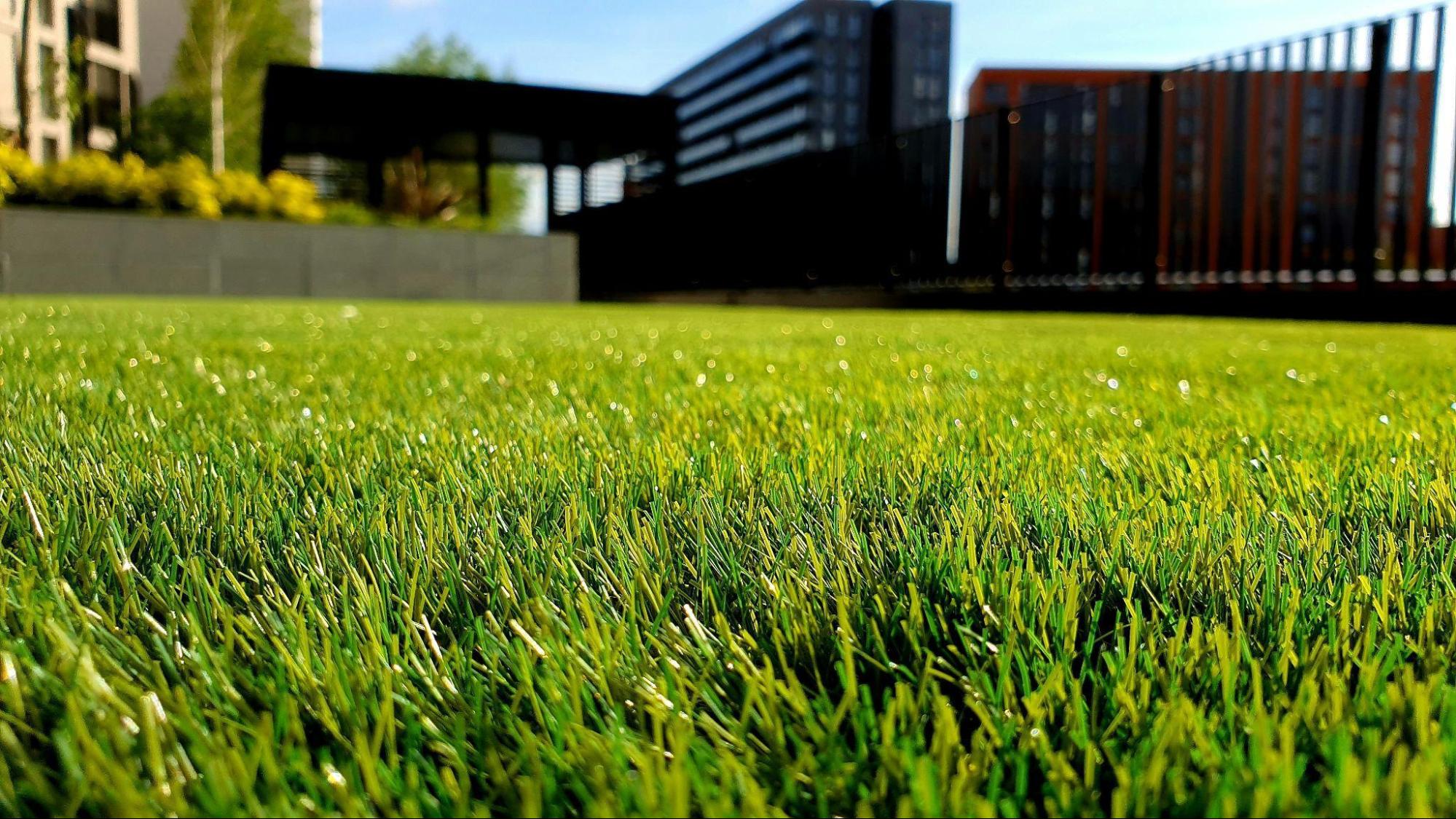 Can Machine Learning Predict How Much Fertilizer a Lawn Actually Needs?
